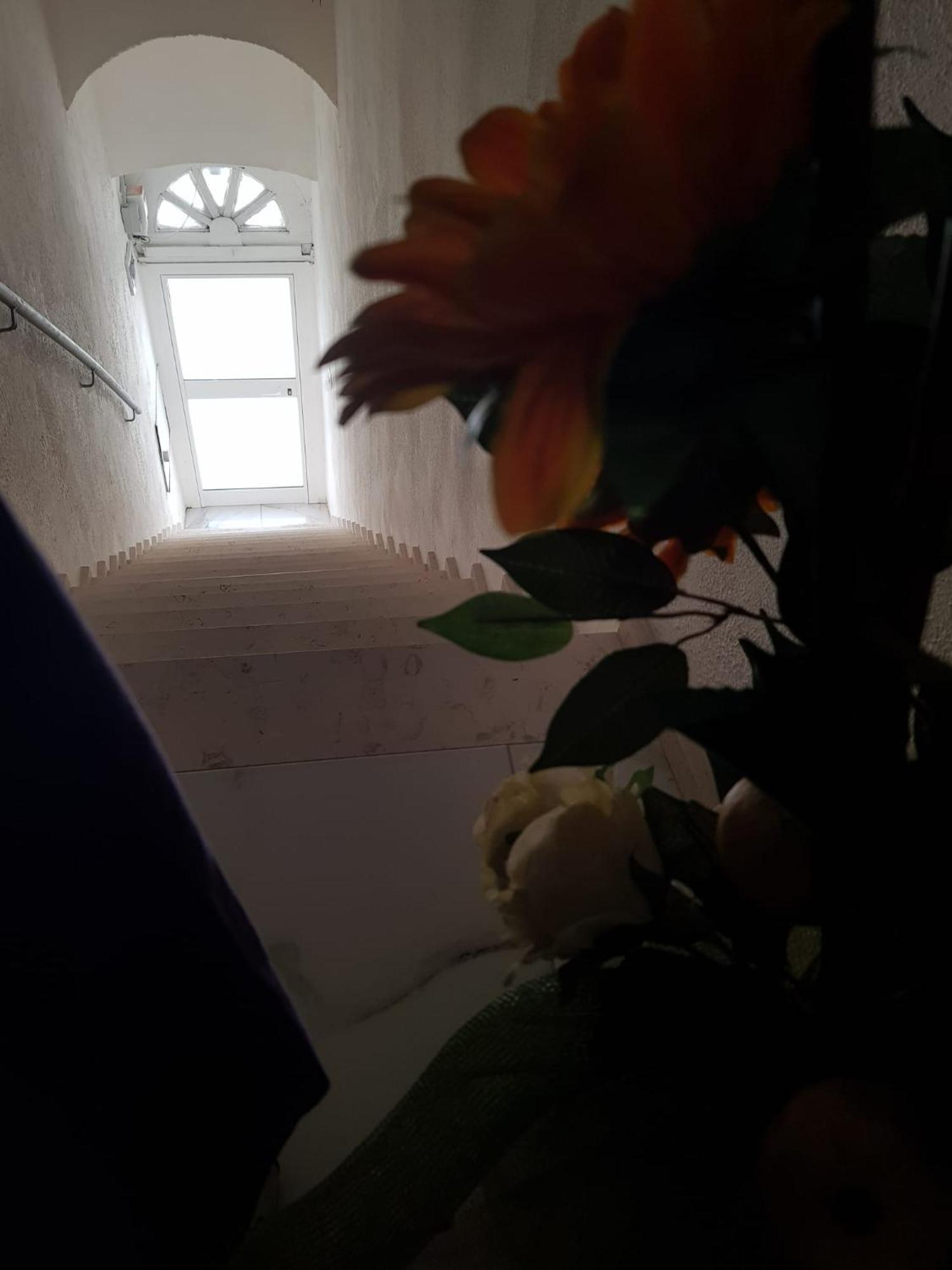 Di Fronzo Guest House T Triggiano Exterior foto
